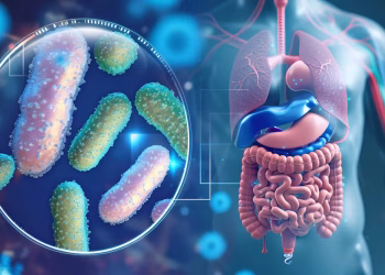 ¿Toda enfermedad empieza en el intestino? El estudio de científicos que confirma los alcances del “segundo cerebro”