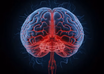 Cómo saber cuando el cerebro está envejeciendo de manera saludable