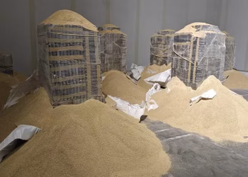 Portugal incautó más de tres toneladas de cocaína en contenedor de soja que partió de Paraguay y pasó por Montevideo