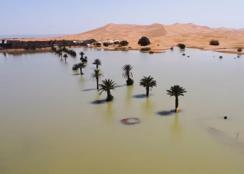 El desierto del Sahara como nunca se vio: las sorprendentes imágenes tras las tormentas históricas