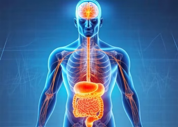 Los órganos envejecen a diferente ritmo: cuáles son los nuevos hallazgos que pueden impulsar la longevidad