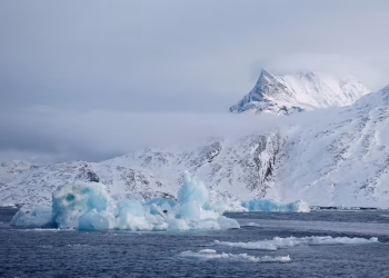 El inesperado hallazgo bajo el gigantesco iceberg desprendido de la Antártida que sorprende a los científicos