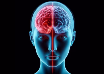 La privación de sueño afecta distintas zonas del cerebro, según una investigación