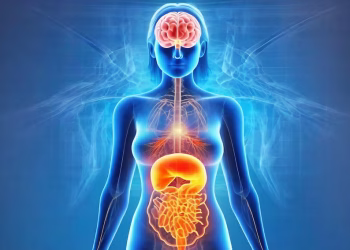 Descubren un “sexto sentido” que conecta al intestino con el cerebro y puede impactar en el apetito