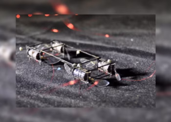 Así es el robot insecto que podría polinizar, hacer rescates y explorar en Marte