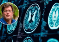 El neurocientífico que estudia cómo el cerebro “se quiebra” frente a la ansiedad y al estrés postraumático