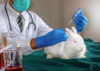 El avance de las tecnologías que podrían poner fin a las pruebas con animales genera expectativa en la ciencia