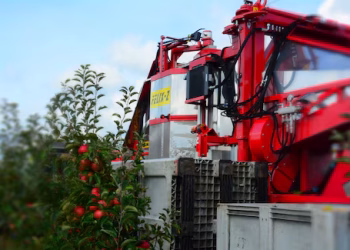 Así es la máquina que ha reemplazado a los humanos en la cosecha de manzanas en Europa