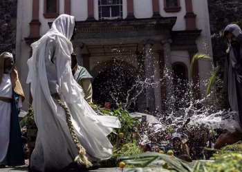 El día que recuerda que el triunfo de la vida surge donde el mundo solo ve derrota: orígenes y secretos del Domingo de Ramos