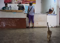 Miles de cubanos se vuelcan a la basura ante la escasez de alimentos: “Es a toda hora, todos los días”