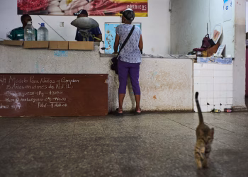 Miles de cubanos se vuelcan a la basura ante la escasez de alimentos: “Es a toda hora, todos los días”