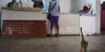 Miles de cubanos se vuelcan a la basura ante la escasez de alimentos: “Es a toda hora, todos los días”