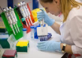 Peste neumónica en Siberia: qué es, cómo se contagia y por qué los científicos la estudian en laboratorio