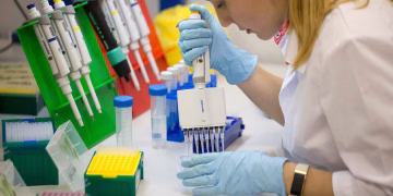 Peste neumónica en Siberia: qué es, cómo se contagia y por qué los científicos la estudian en laboratorio